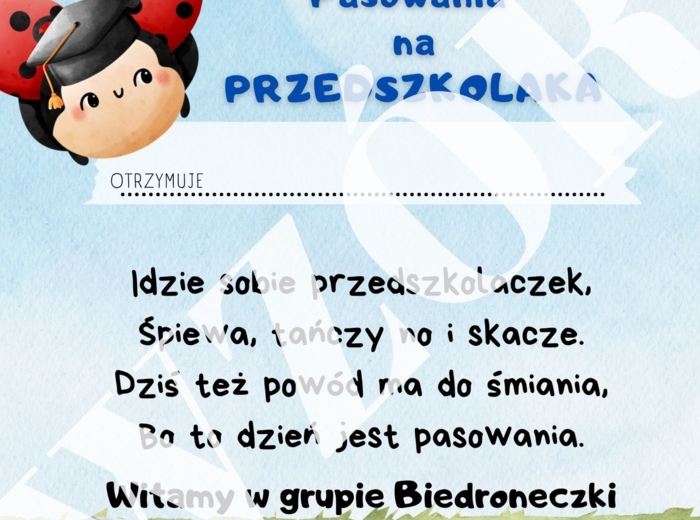 Dyplom pasowania na przedszkolaka - podpisana grupa biedronki