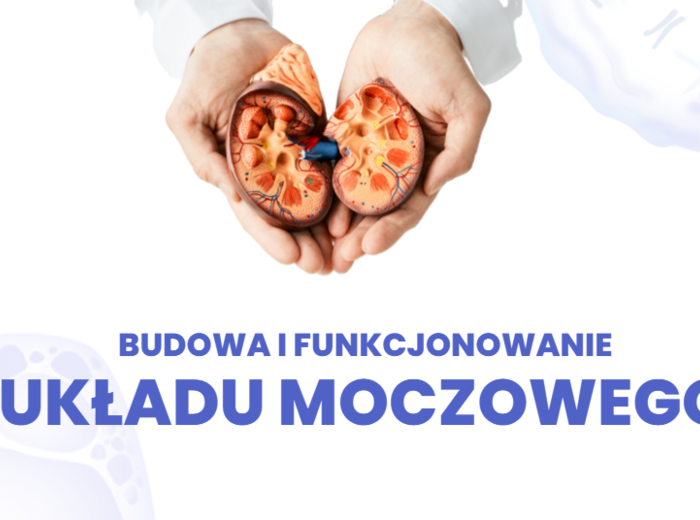 Układ wydalniczy 3 KLASA ROZSZERZENIE BIOLOGIA