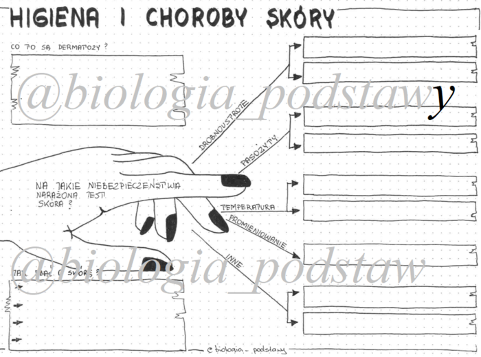 Klasa 7 - Higiena i choroby skóry - sketchnotka KP