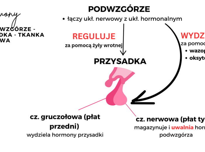 KLASA 3 rozszerzenie - PAKIET NA CAŁY ROK