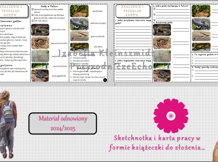 Minizestaw do tematu „Przegląd i znaczenie gadów” – sketchnotka + karta pracy w pdf + gratisowy link do prezentacji multimedialnej niekomercyjnej wykonanej w genial.ly do indywidualnego pobrania i użycia do celów niekomercyjnych. Biologia 6, Dział „Kręgo