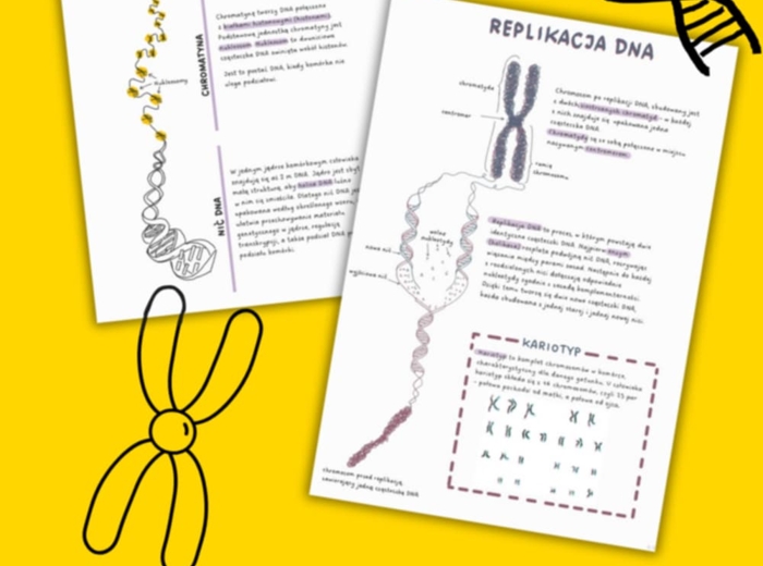 Chromosomy - sketchnotka - wklejka | Biologia | klasa 8