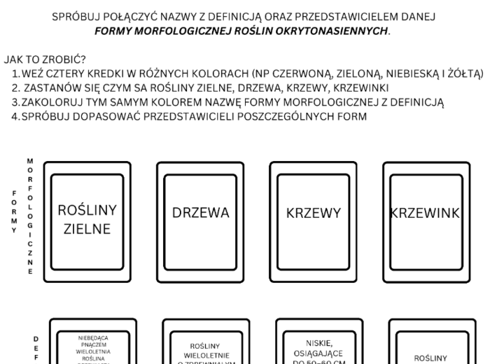 Formy morfologiczne roślin okrytonasiennych
