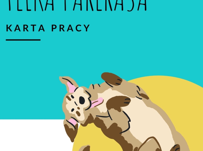 Przygody Felka Parerasa, E. Chotomska - karta pracy