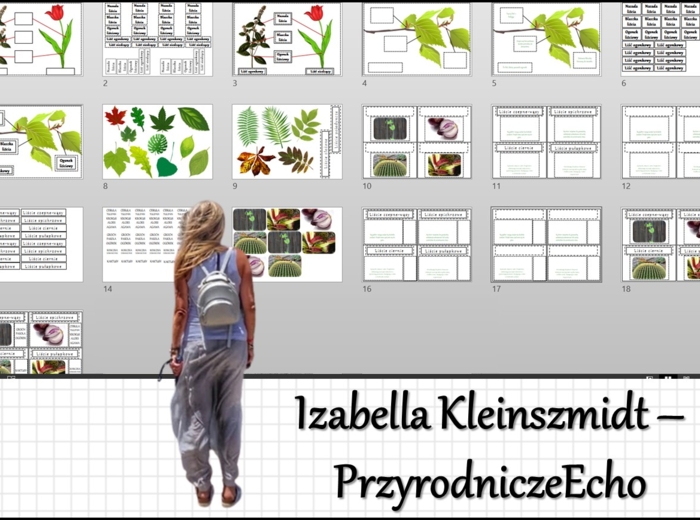 Materiał do zalaminowania/praca w grupach/stacje zadaniowe/układanka/puzzle „Liść – wytwórnia pokarmu” w pdf. Biologia 5, dział „Tkanki i organy roślinne”.