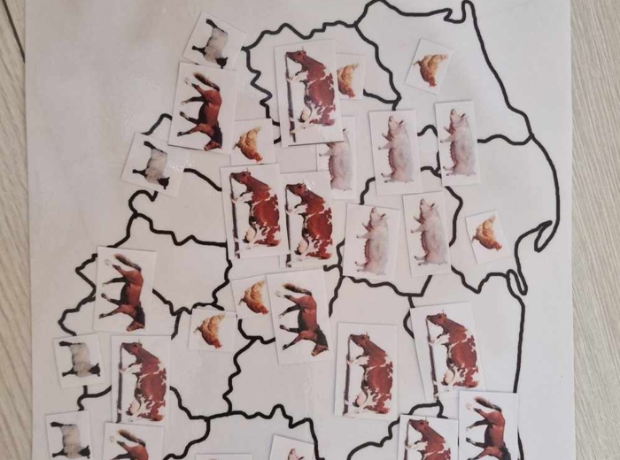 Produkcja zwierzęca w Polsce/do zalaminowana/układanka/puzzle/rozmieszczenie chowu w Polsce/rozpoznawanie gatunków w pdf. „Produkcja zwierzęca”. Geografia 7 "Rolnictwo i przemysł Polski"