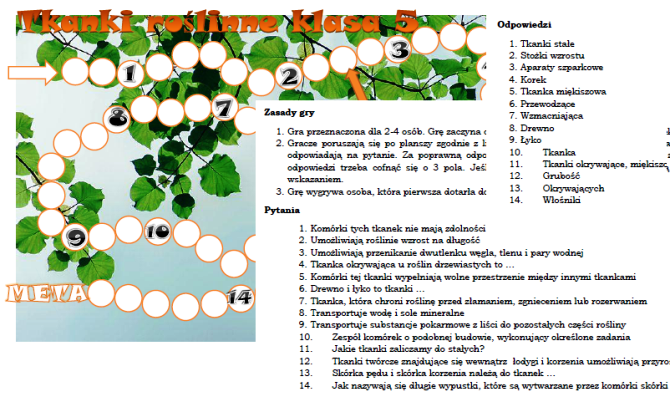 Tkanki roślinne gra planszowa