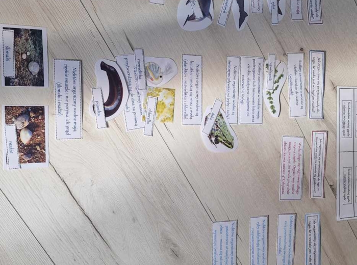 Materiał do zalaminowania/praca w grupach/stacje zadaniowe/układanka/puzzle „Warunki życia w wodzie” w pdf. Przyroda, dział „Odkrywamy tajemnice życia w wodzie i na lądzie”.