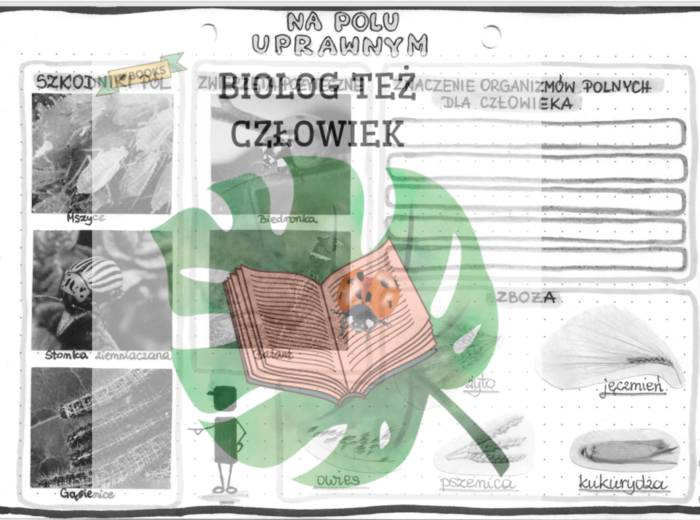 Na polu uprawnym - szarość