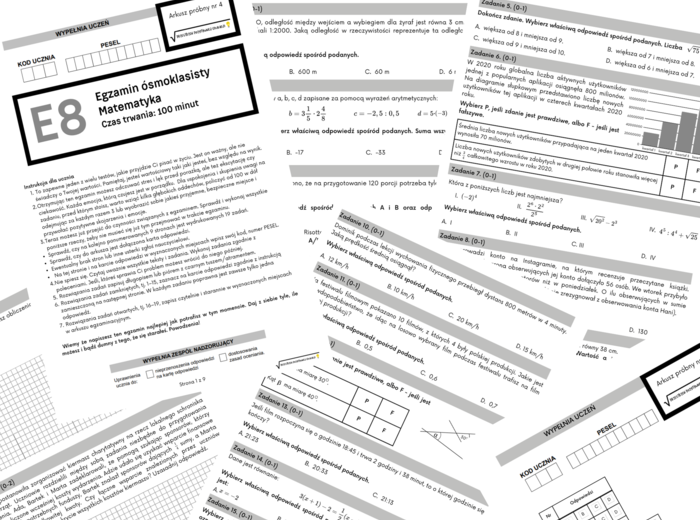 Arkusz próbny E8 nr 4