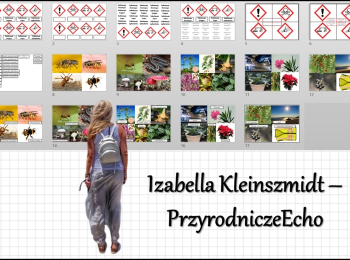 Materiał do zalaminowania/praca w grupach/stacje zadaniowe/układanka/puzzle „Jak postępować w niebezpiecznych sytuacjach?” w pdf. Przyroda, dział „Odkrywamy tajemnice zdrowia”.