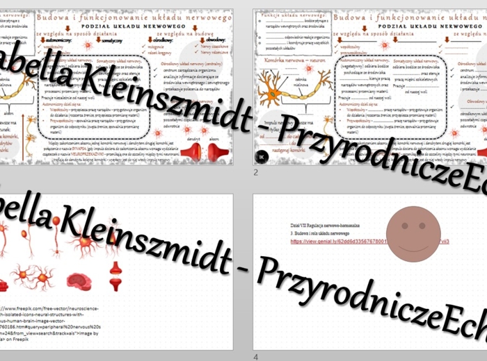 Minizestaw na temat „Budowa i rola układu nerwowego” – sketchnotka + karta pracy w power point + gratisowy link do prezentacji multimedialnej niekomercyjnej wykonanej w genial.ly do indywidualnego pobrania i użycia do celów niekomercyjnych. Biologia 7, „
