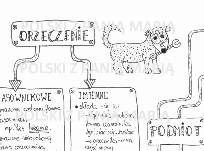 Typy orzeczeń i podmiotów