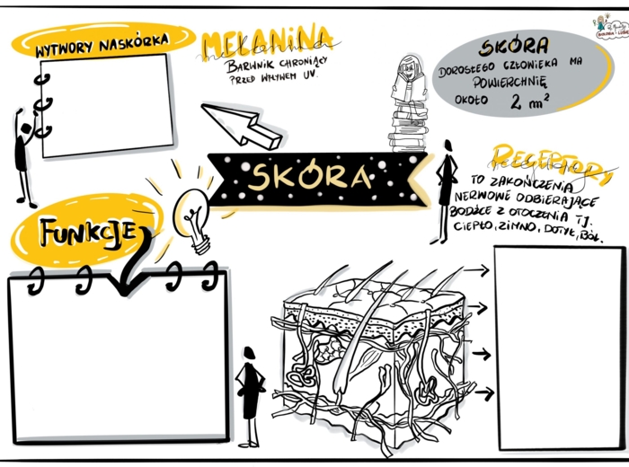 Klasa 7 Skóra. Karta pracy.