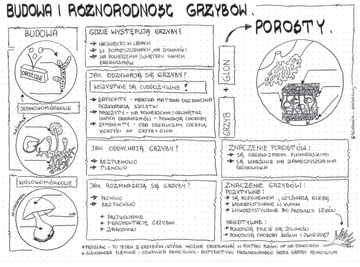 Klasa 5 - Budowa i różnorodność grzybów - pakiet