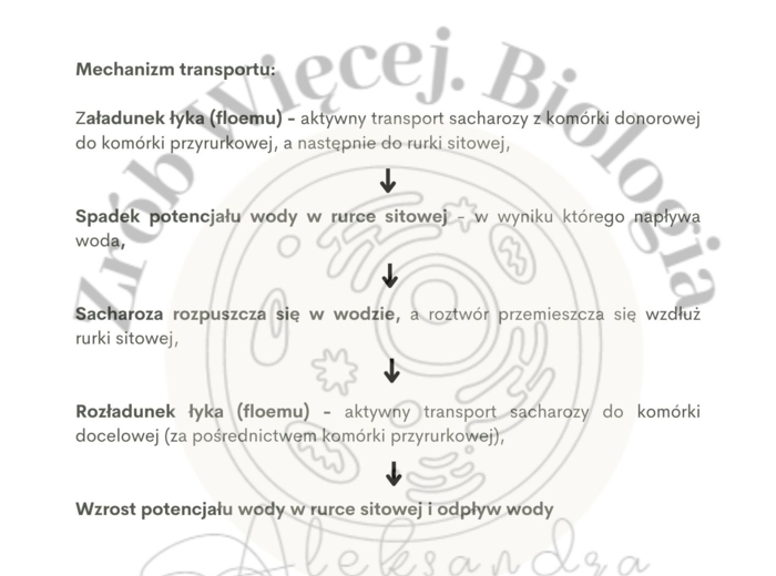 Biologia do matury - karty pracy z fizjologii roślin