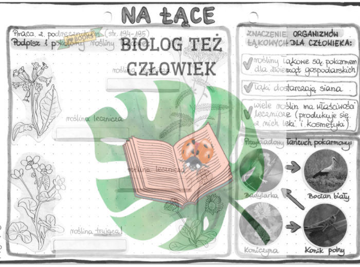 Na łące - szarość