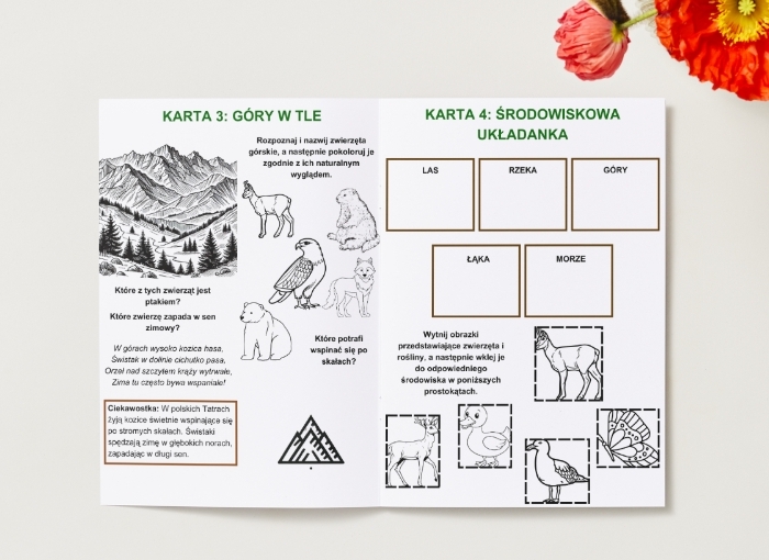 Karty pracy z kolorowankami. Środowisko naturalne (zwierzęta, rośliny, rzeka, las, góry)
