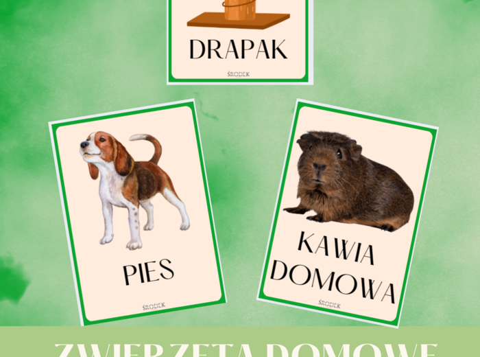 ZWIERZĘTA DOMOWE - karty demonstracyjne