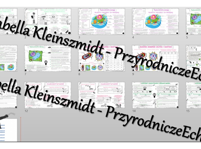 Zestaw sketchnotek i kart pracy + gratisowe linki do prezentacji multimedialnych niekomercyjnych wykonanych w genial.ly do indywidualnego pobrania i użycia do celów niekomercyjnych. Biologia 5, „Budowa i czynności życiowe organizmów”