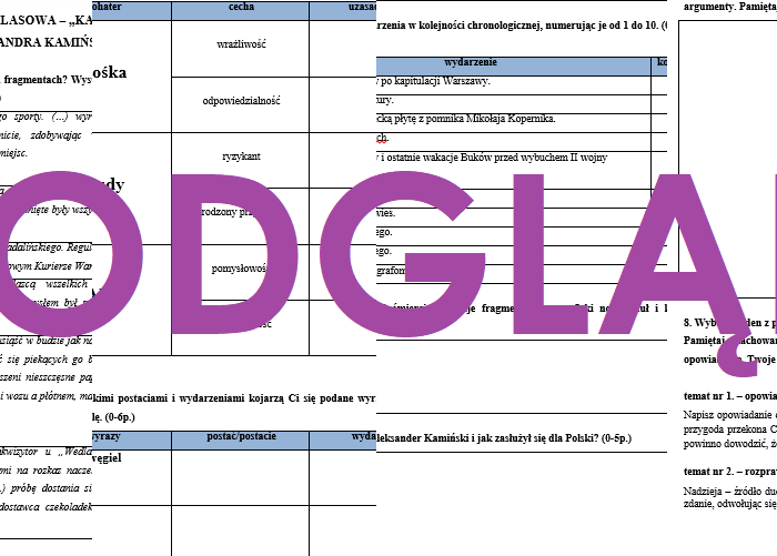 "Kamienie na szaniec" - literacka praca klasowa, sprawdzian, egzamin ósmoklasisty
