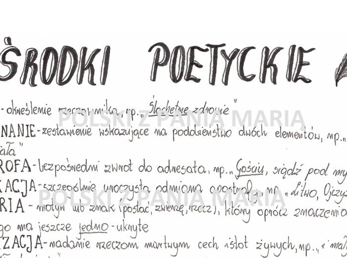 rysnotka "ŚRODKI POETYCKIE"