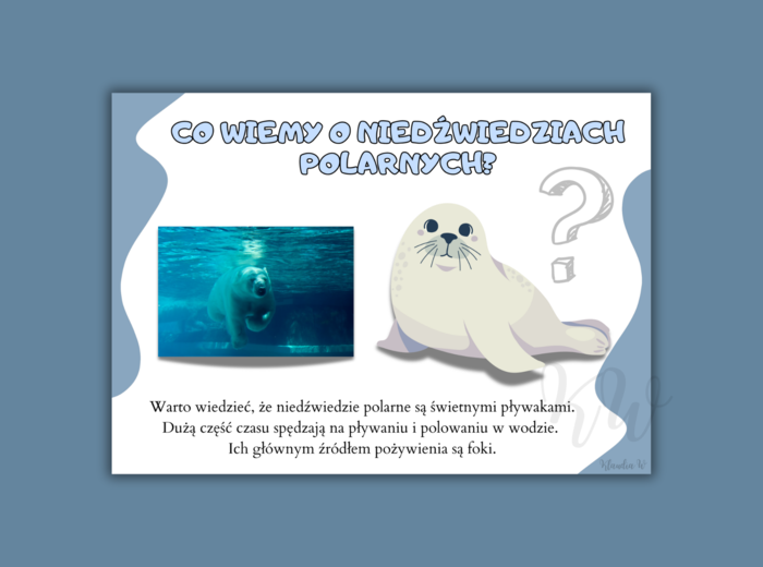 Dzień Niedźwiedzia Polarnego - zestaw