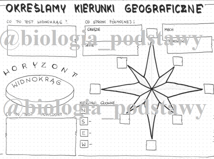 Klasa 4 - Określamy kierunki geograficzne - sketchnotka