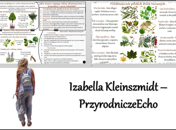 Sketchnotka/notatka/streszczenie/wklejka/ściąga dla ucznia i przypomnienie dla nauczyciela/edukacja domowa. Temat „Jakie miejsce zajmują rośliny okrytonasienne w przyrodzie i życiu człowieka?” w pdf. Biologia 5 dział „Mchy. Paprotniki. Nagonasienne. Okry