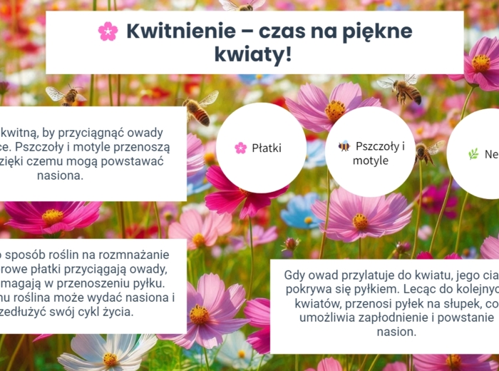 Cykl życia roślin i zwierząt