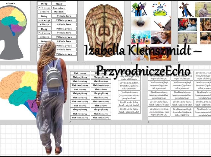 Materiał do zalaminowania/praca w grupach/stacje zadaniowe/układanka/puzzle okienkowa „Ośrodkowy układ nerwowy „Budowa mózgu i mózgowia”, "Półkule i ośrodki" w pdf. Biologia 7 dział „Regulacja nerwowo - hormonalna”.