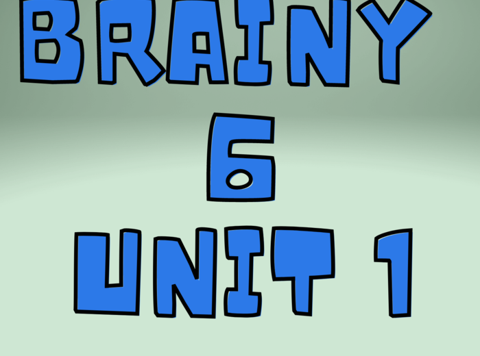 BRAINY 6