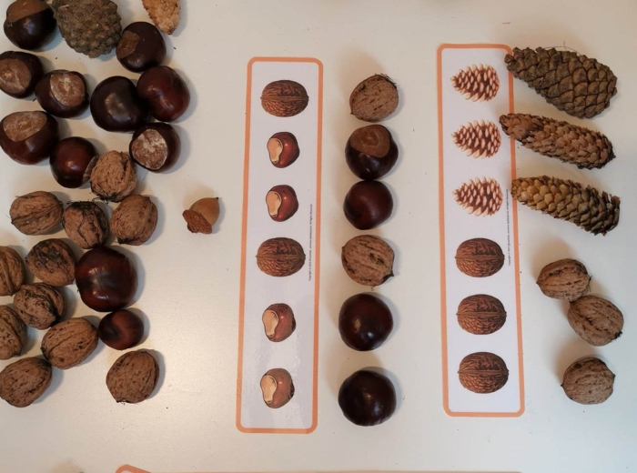 Sekwencje - dary jesieni