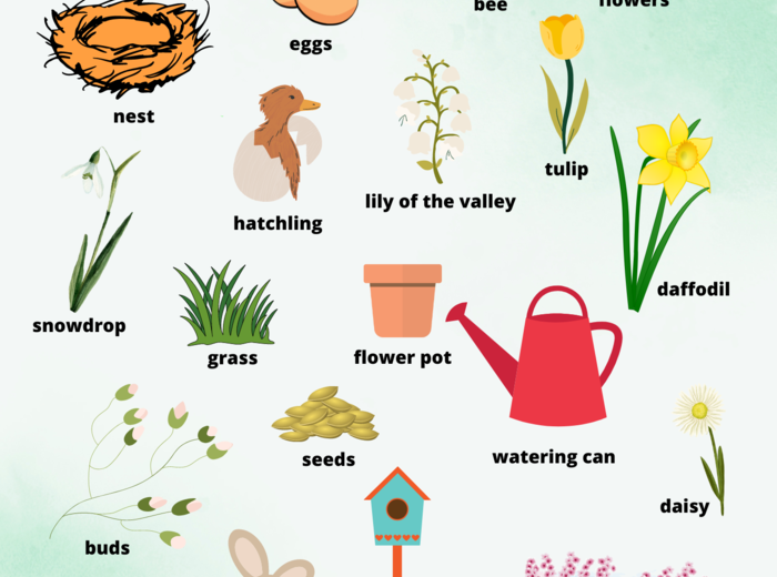 Spring Picture Dictionary