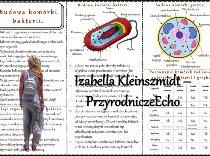 Książeczka/sketchnotka/notatka/wklejka/ściąga dla ucznia i przypomnienie dla nauczyciela/edukacja domowa. Temat „Budowa komórki bakterii” w pdf. Biologia 5, dział „Budowa i czynności życiowe organizmów”. Nowość 2024/2025.