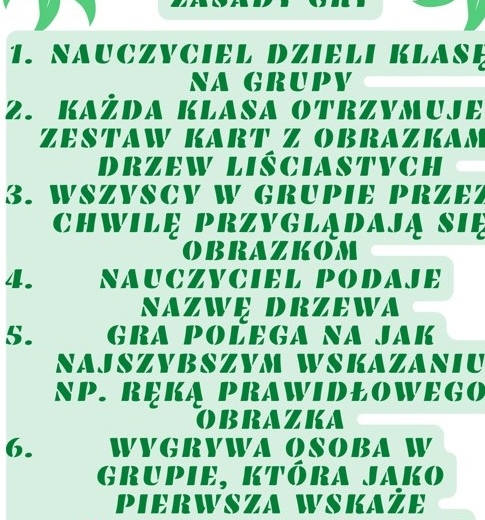 Szybkie rączki - drzewa liściaste