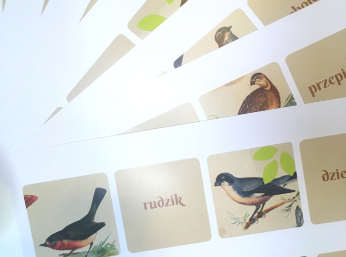 Ptasia ortografia - gra memory