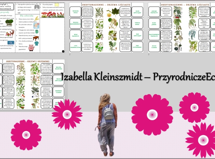 Sketchnotka/książeczka/notatka/wklejka/ściąga dla ucznia i przypomnienie dla nauczyciela/edukacja domowa. Temat „Przegląd i znaczenie roślin okrytonasiennych”. Materiał w pdf. Biologia 5, dział „Różnorodność roślin”. Nowość 2024/2025.