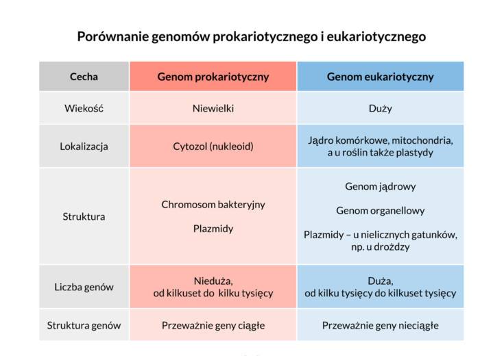 Genetyka molekularna 4 KLASA ROZSZERZENIE