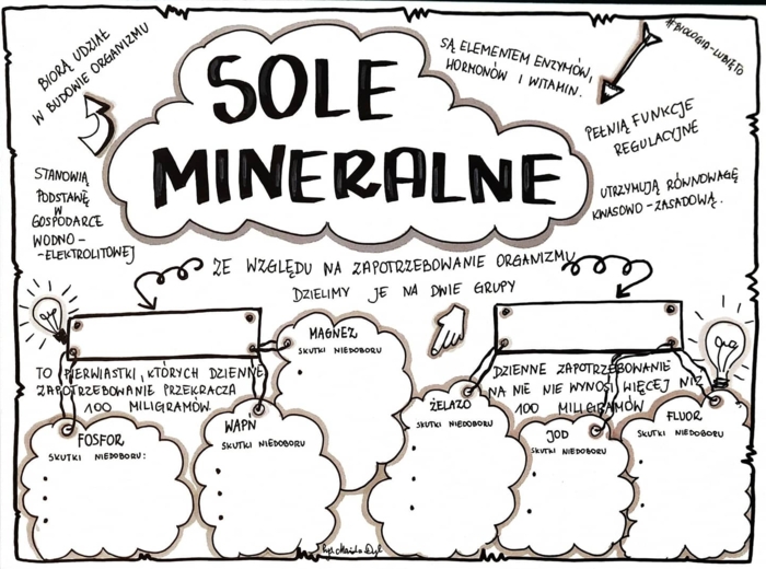 Klasa 7. Biologia. Budowa i rola mięśni (dwie karty pracy: kolorowa + do uzupełnienia)