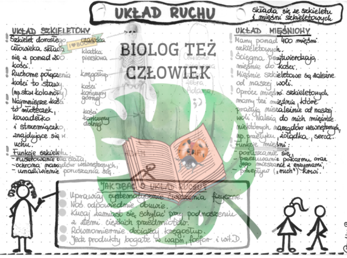 PRZYRODA - Ciało człowieka - Układ ruchu (układ szkieletowy i mięśniowy) - szarość