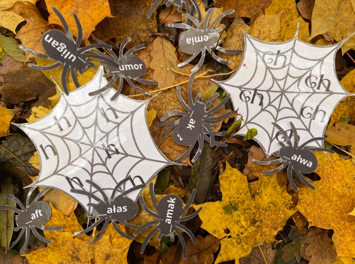 Ortografia "ch"/"h" pająki - Halloween