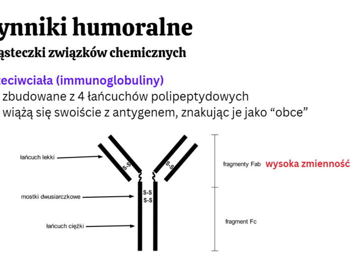 Budowa i funkcje układu odpornościowego 3 KLASA ROZSZERZENIE BIOLOGIA