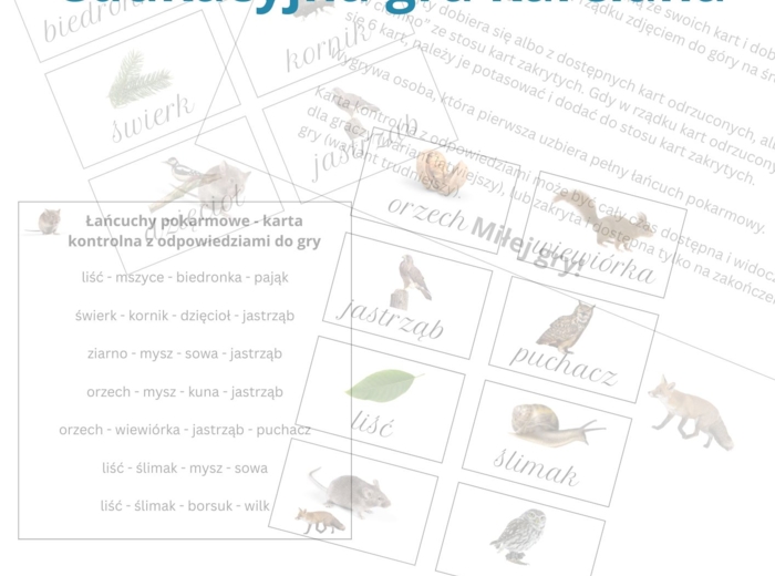 Łańcuchy pokarmowe - gra edukacyjna
