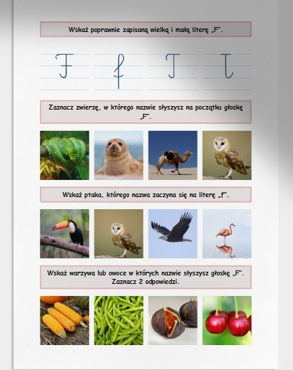 F i f. Karta pracy. Sprawdzian