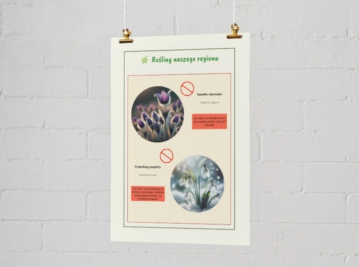 Plansze edukacyjne. Gatunki zwierząt, roślin i grzybów występujących lokalnie.