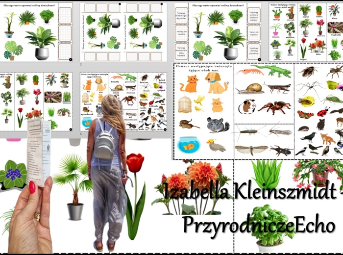 Książeczka/karta pracy/wklejka/stacje zadaniowe/notatka okienkowa. Temat „Rośliny i zwierzęta wokół nas” w pdf. Przyroda 4, dział „Poznajemy świat organizmów”. Nowość 2024/2025.