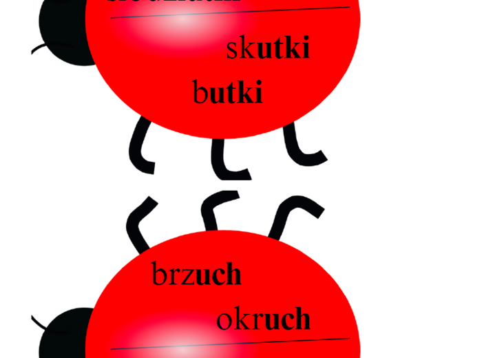 Ilustrowane zasady ortograficzne