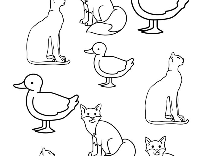 Karty Pracy na Percepcję Wzrokową - nauka liter, nauka czytania, matematyka