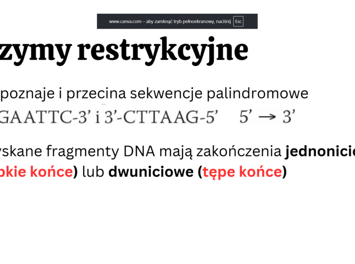 biotechnologia molekularna KLASA 4 ROZSZERZENIE BIOLOGIA